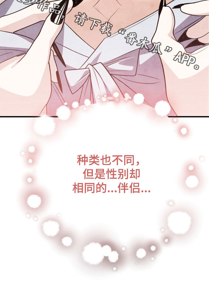 猛虎营装备是哪里的漫画,第20章：伴侣2图