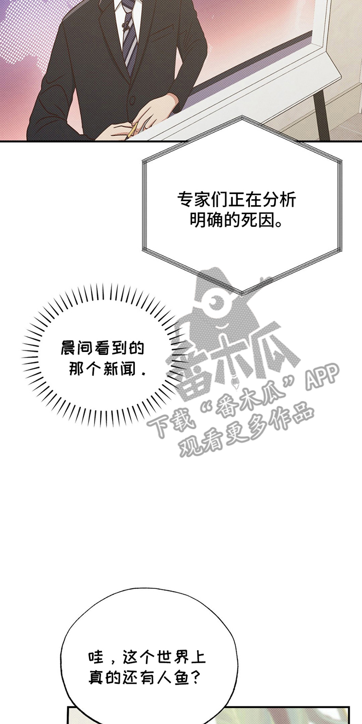 美人鱼的沼泽漫画,第5章：最重要的事情4图