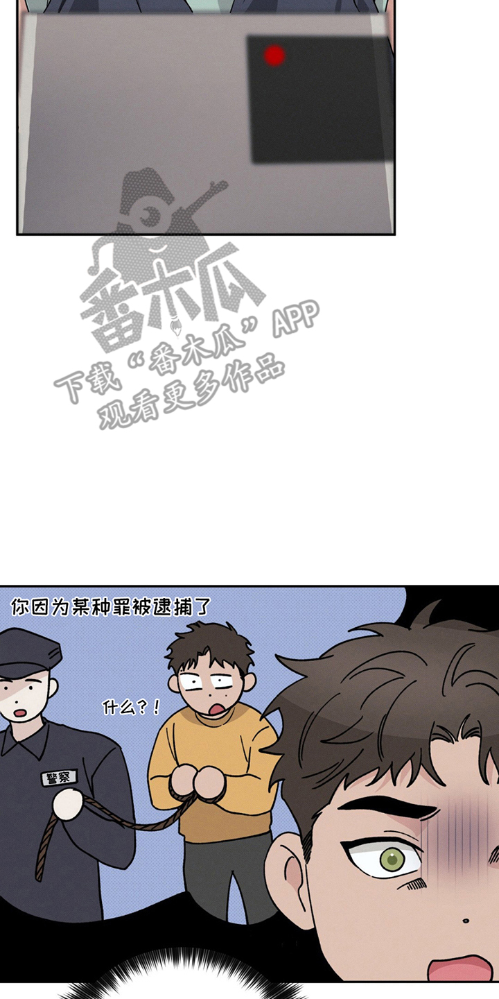 美人鱼的沼泽漫画,第16章：真是怪人1图