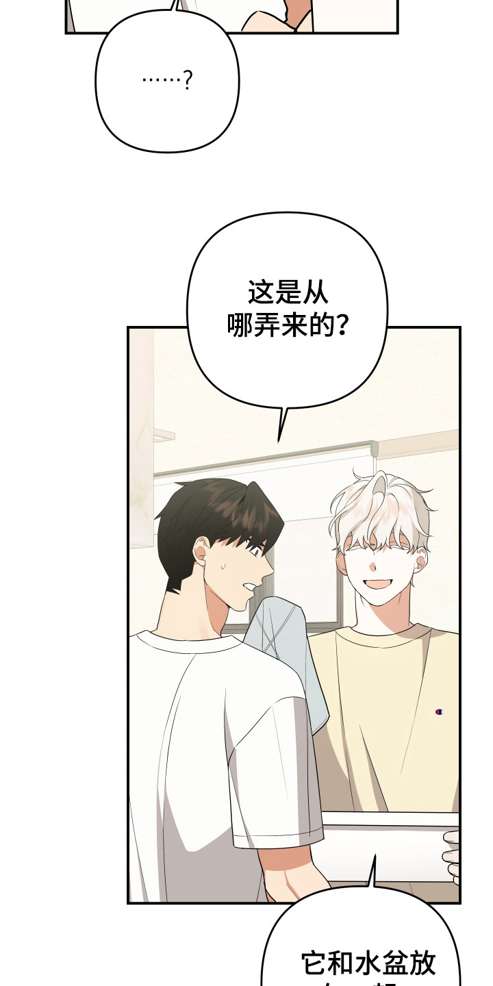 我亲爱的敌人漫画,第16章：以前是恋人4图