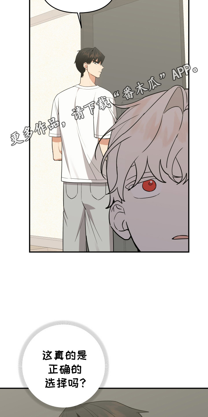 我亲爱的敌人漫画,第17章：我恨你3图