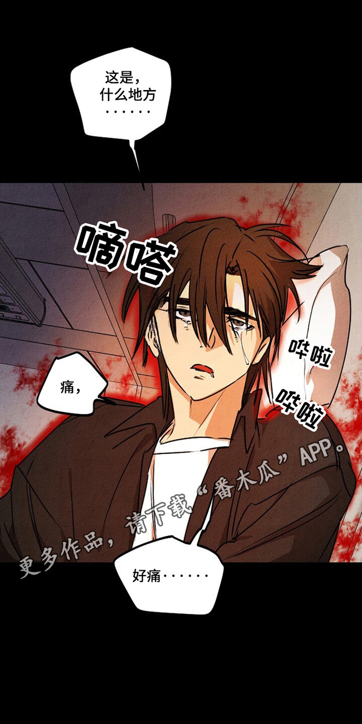 重生在五年之后漫画,第25章：不允许的苏醒2图