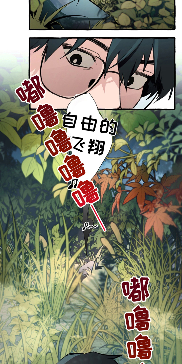 第3章：发现手机4