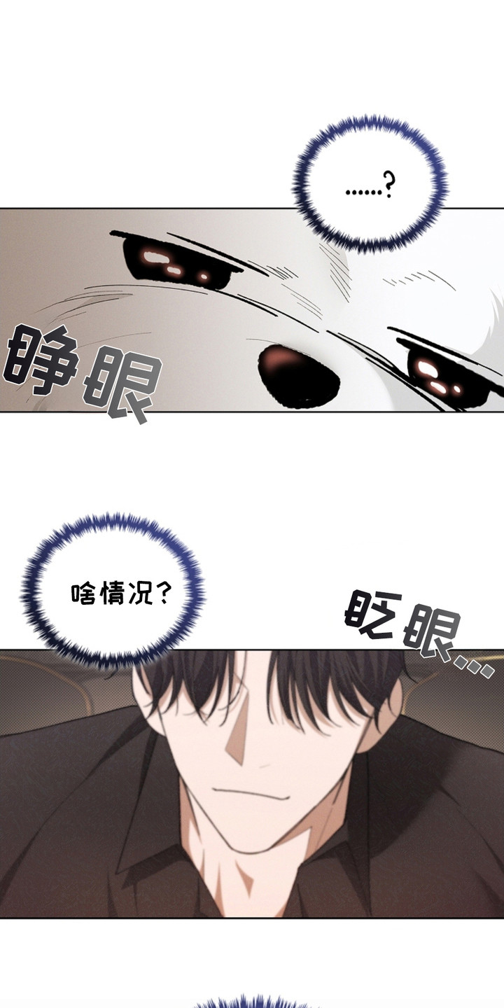 漫蛙漫画app下载官方免费漫画,第3章：传闻2图