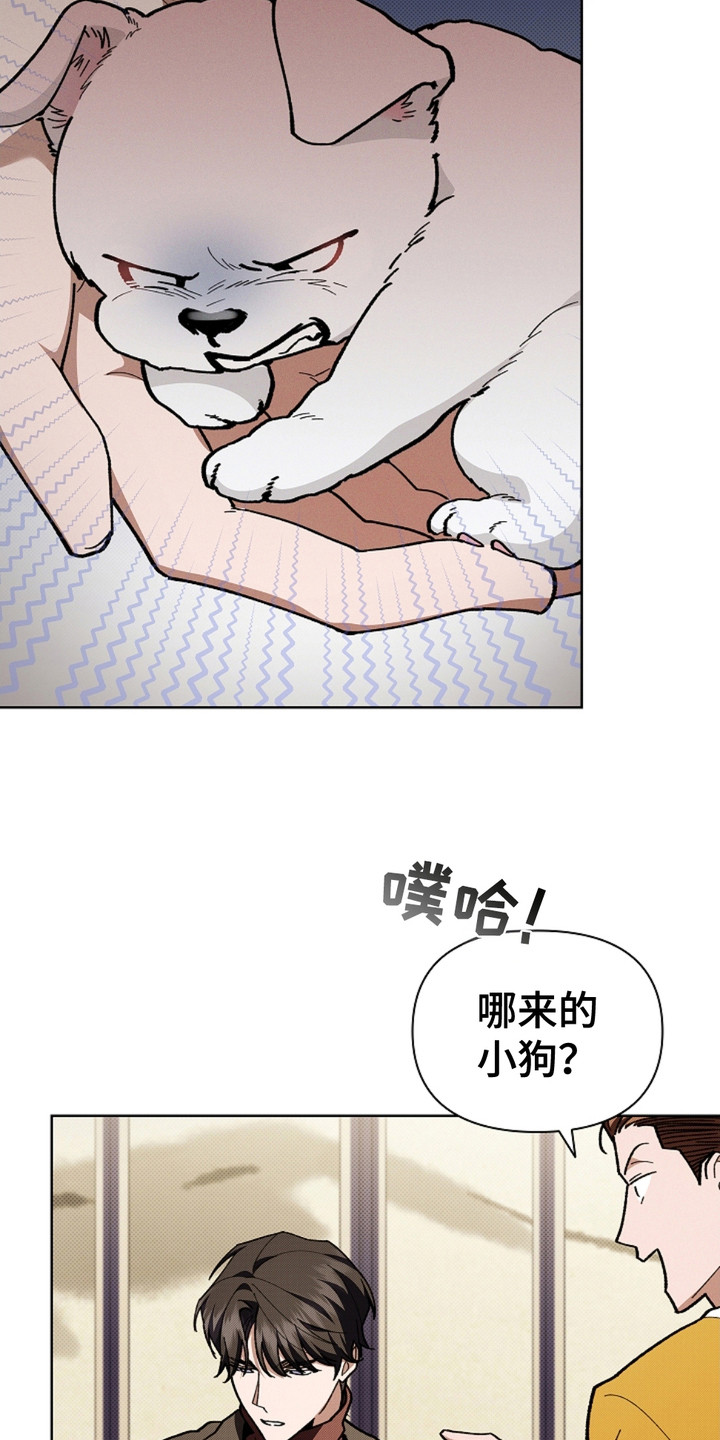 小白狗奇遇记漫画免费观看下拉式漫画,第16章：愤怒5图