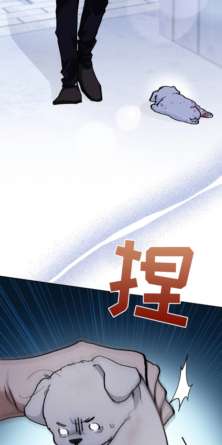 《小白狗奇遇记》剧情漫画,第9章：奄奄一息1图