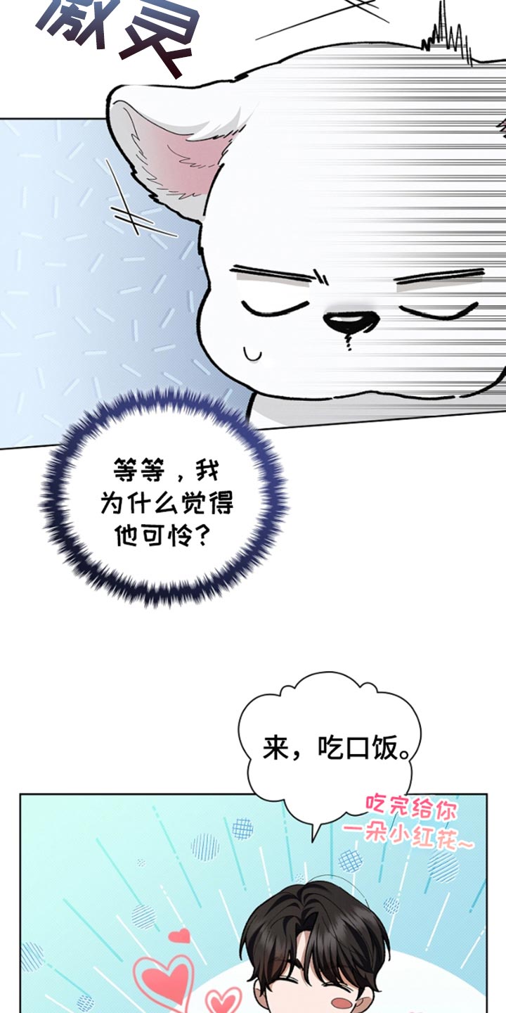 小白狗奇遇记漫画,第28章：有点可怜5图