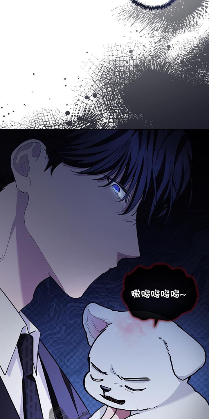 小白狗奇遇记权西城漫画,第30章：别垂头丧气3图