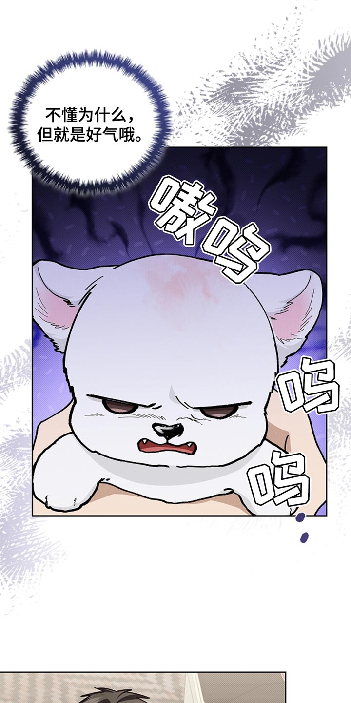 小白狗奇遇记香香叫什么漫画,第30章：别垂头丧气3图