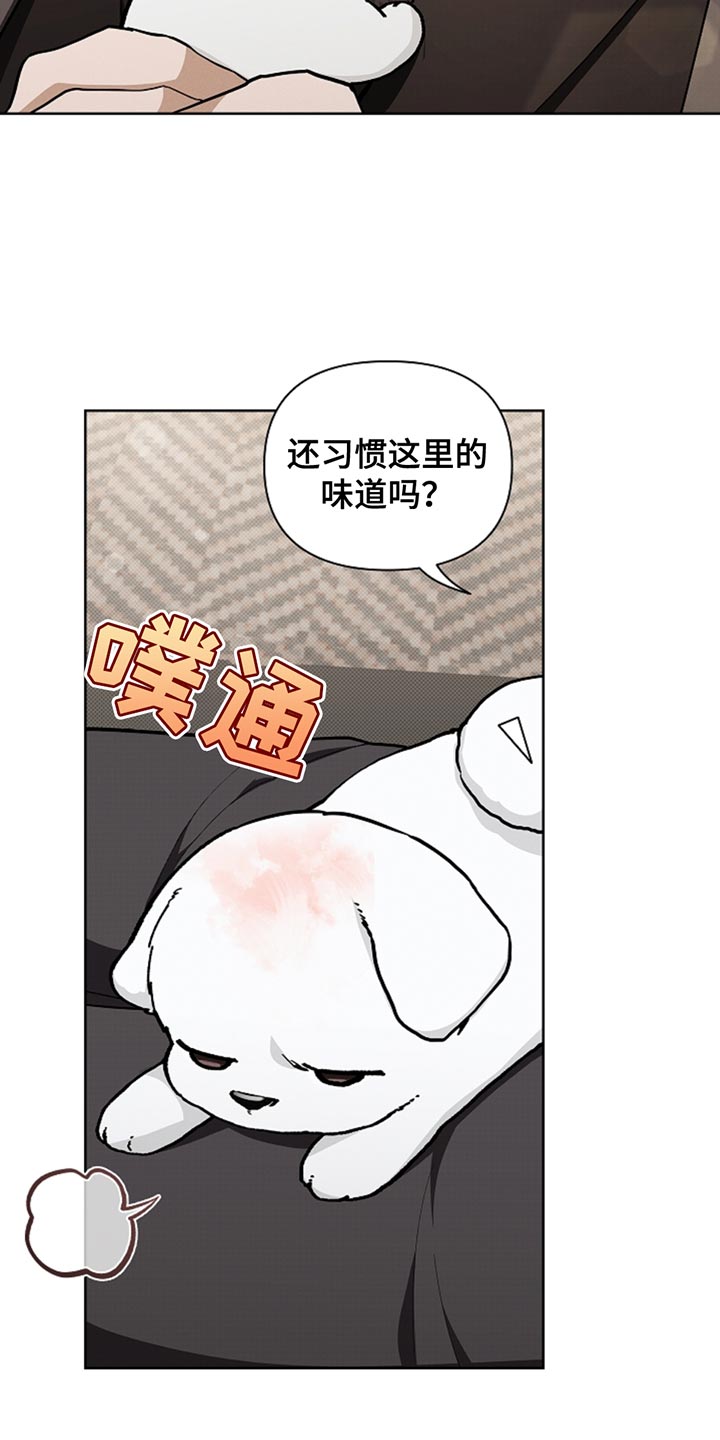小白狗奇遇记权西城漫画,第30章：别垂头丧气5图