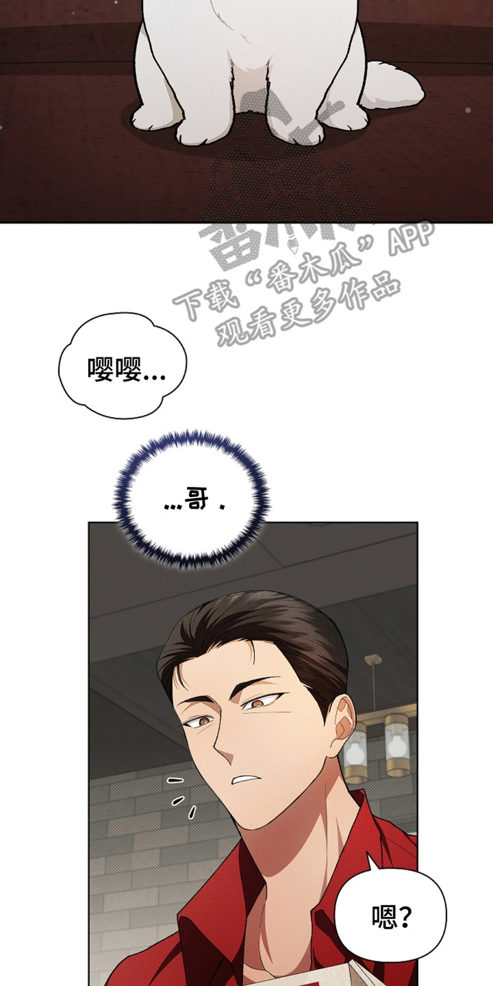 番木瓜免费版漫画怎么下载漫画,第4章：小零食5图