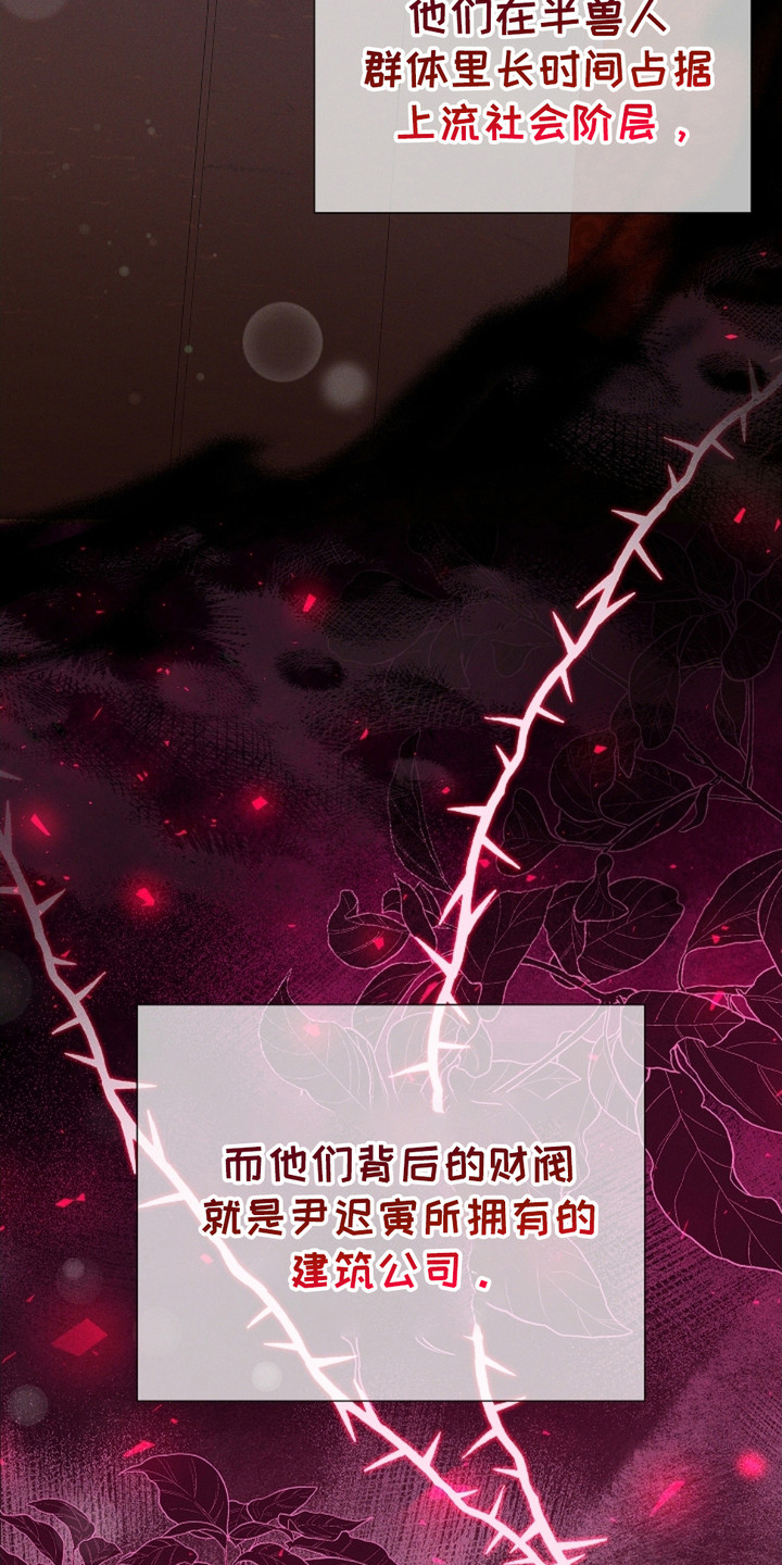 番木瓜免费版漫画怎么下载漫画,第5章：最后一票5图