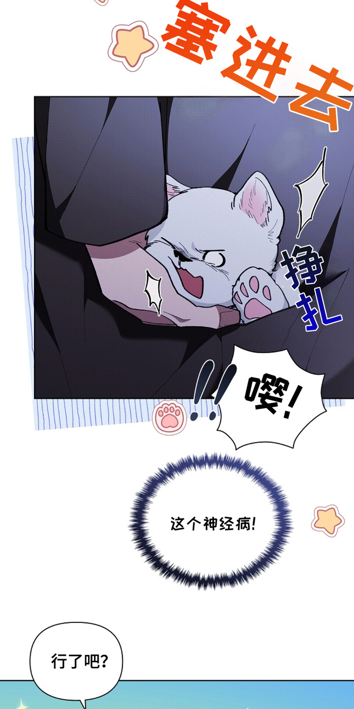 漫蛙漫画app下载官方免费漫画,第15章：玩具4图