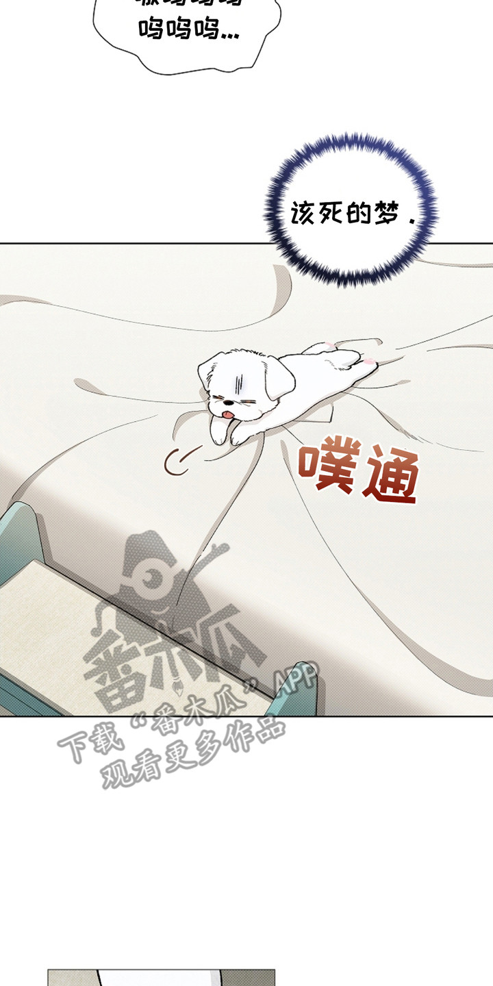 《小白狗奇遇记》剧情漫画,第1章：做噩梦2图