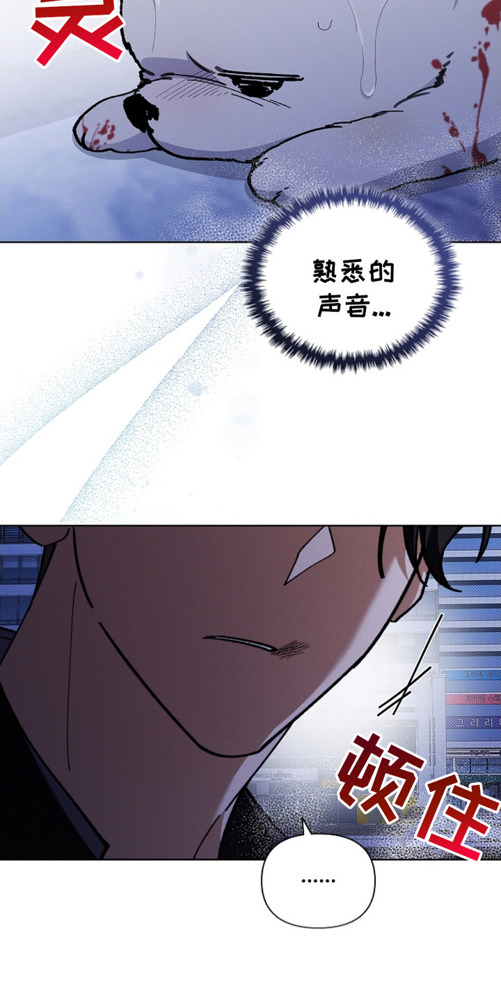 《小白狗奇遇记》剧情漫画,第9章：奄奄一息4图