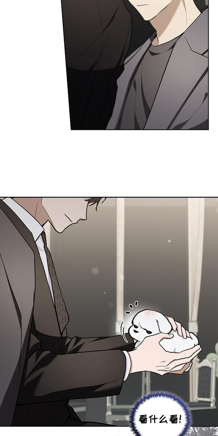 小白狗奇遇记权西城漫画,第30章：别垂头丧气2图