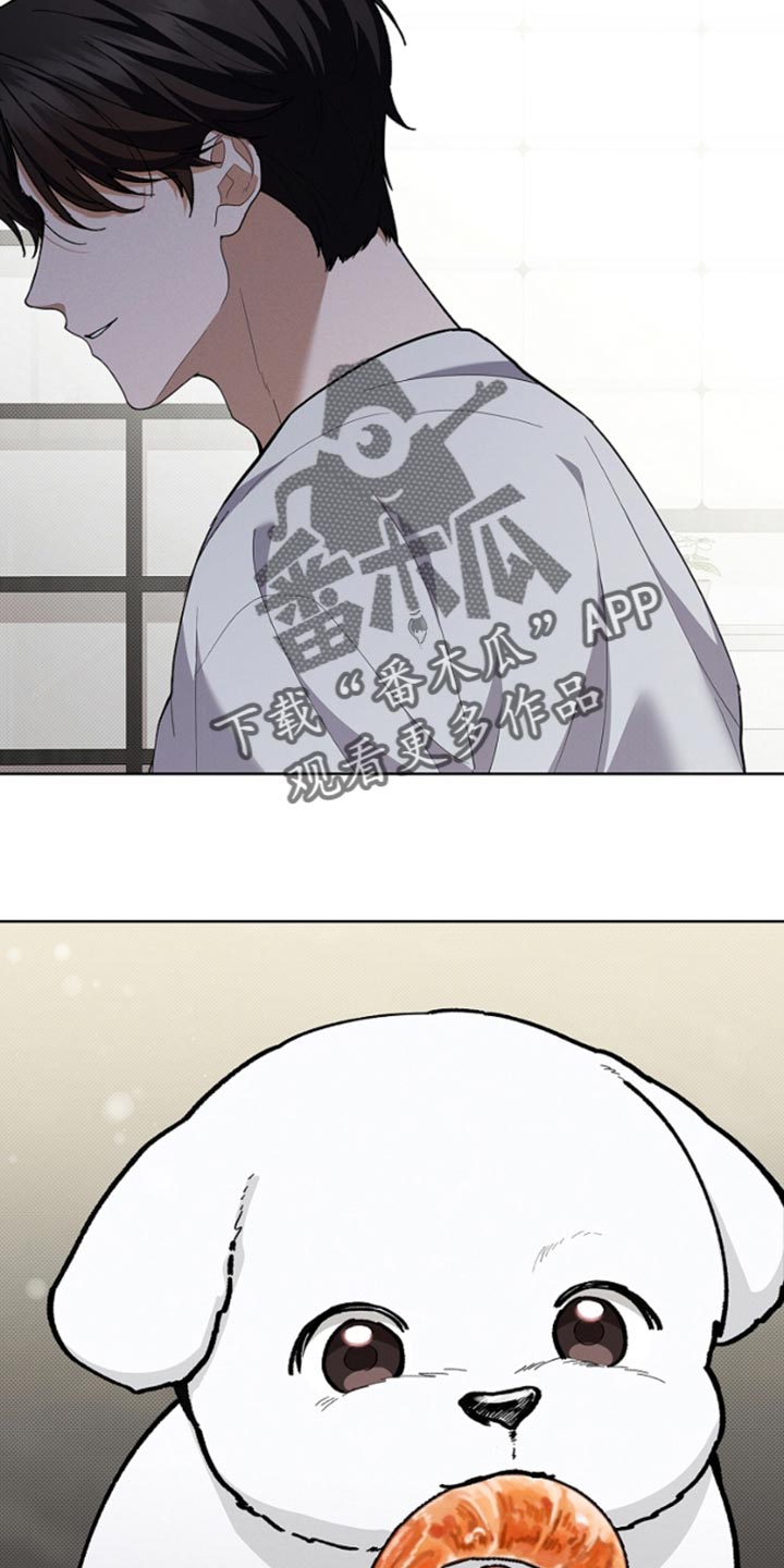 小白狗奇遇记漫画,第28章：有点可怜5图