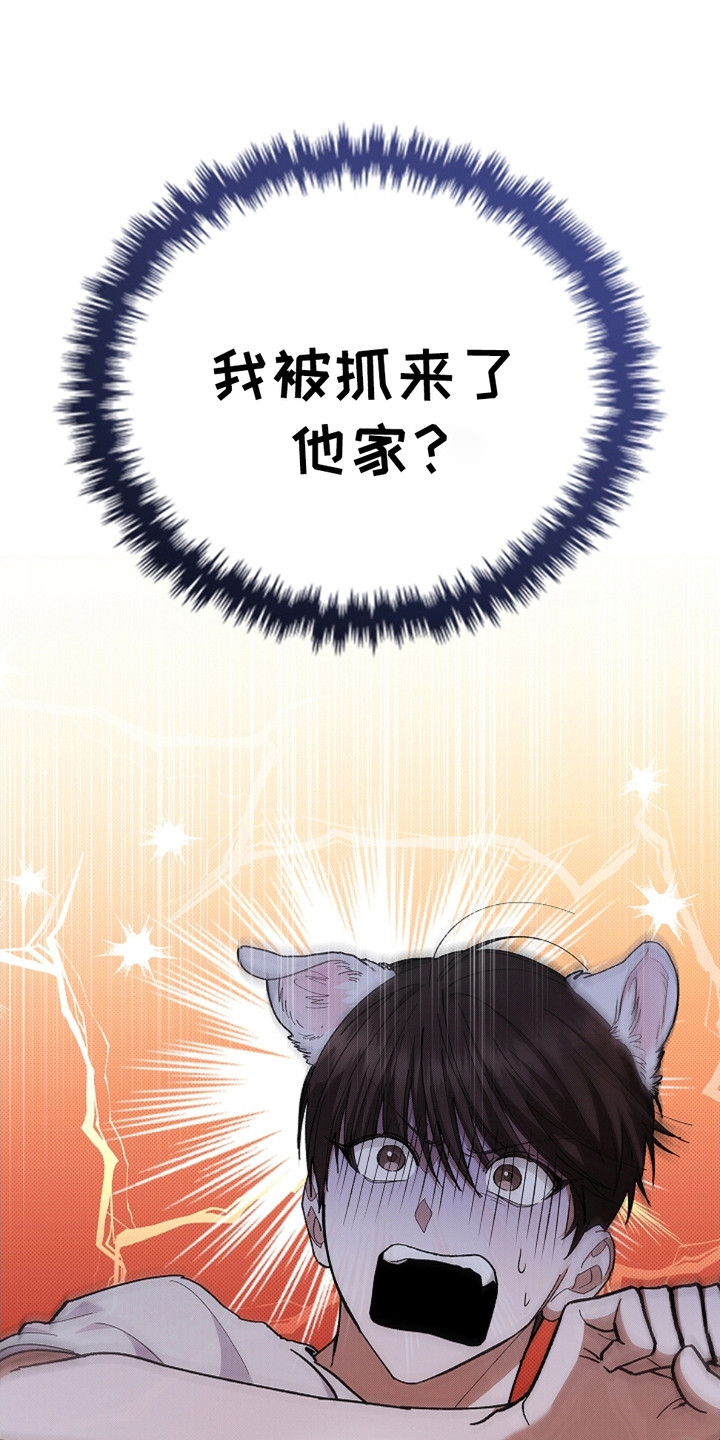 小白狗奇遇记第二季86漫画,第10章：治疗5图