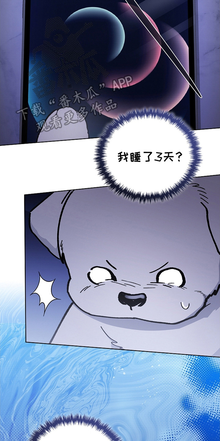 漫蛙漫画app下载官方免费漫画,第11章：不能大意5图