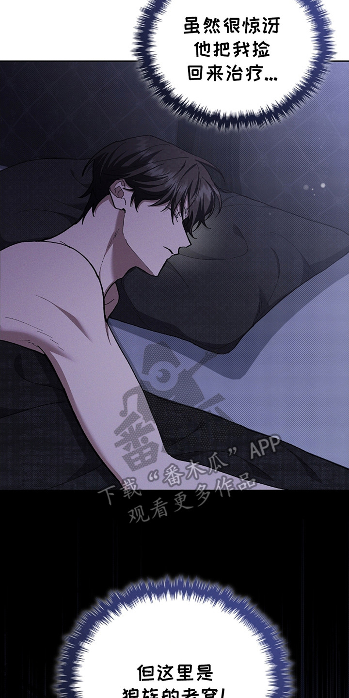 漫蛙漫画app下载官方免费漫画,第11章：不能大意4图