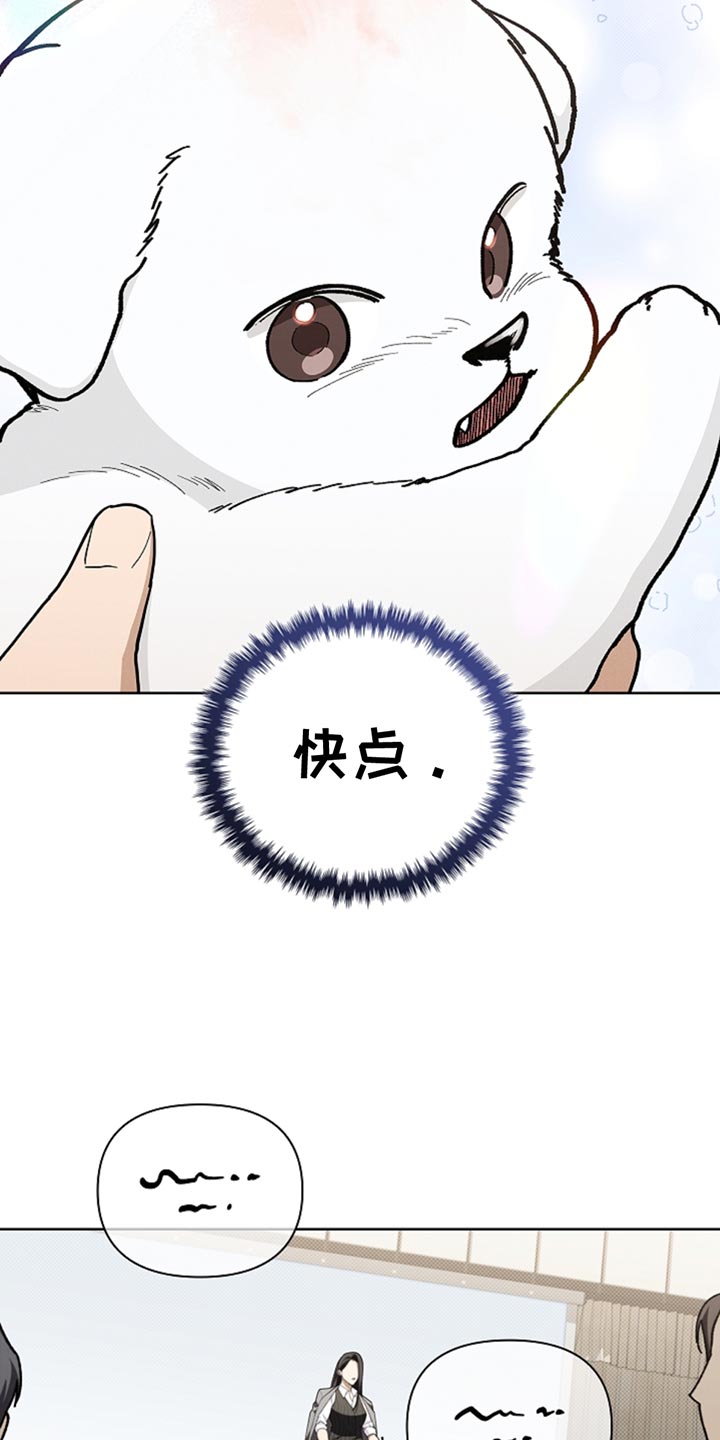 小白狗奇遇记权西城漫画,第30章：别垂头丧气1图