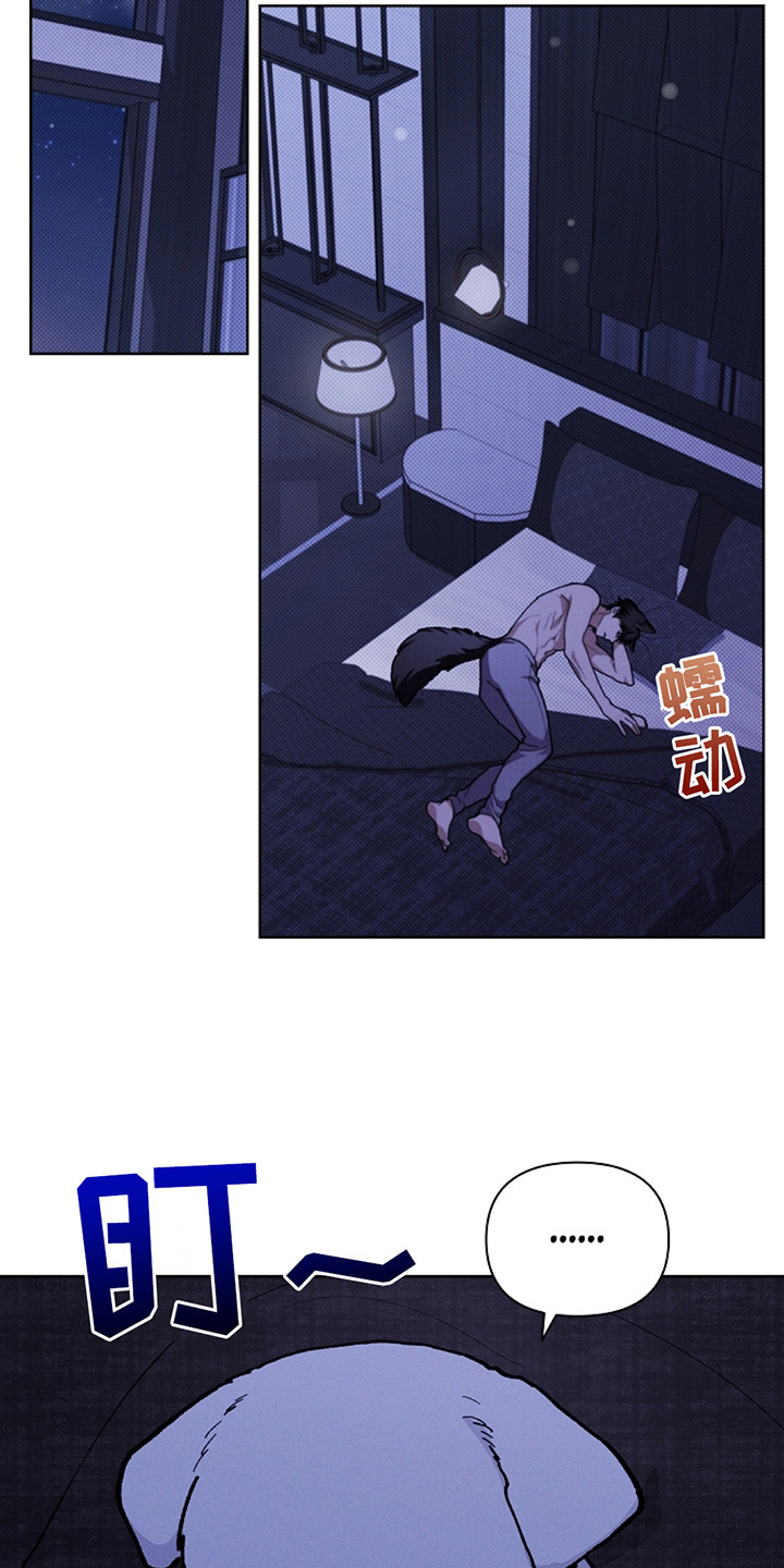 小白狗介绍漫画,第21章：荷尔蒙4图