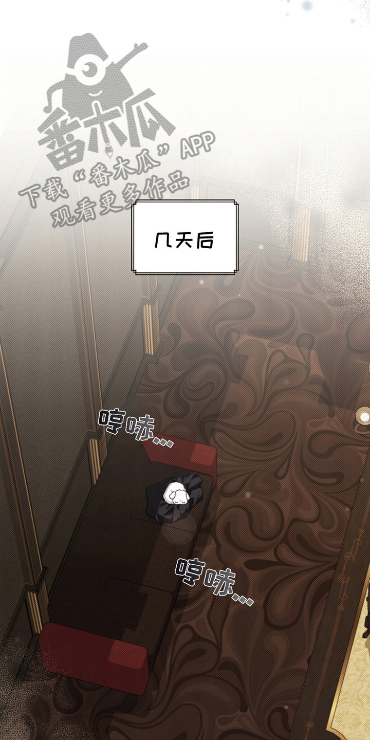 漫蛙漫画app下载官方免费漫画,第3章：传闻5图