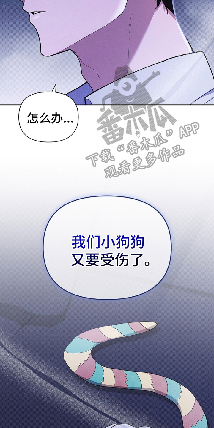 小白狗奇遇记免费漫画下拉式看漫画漫画,第19章：采耳5图