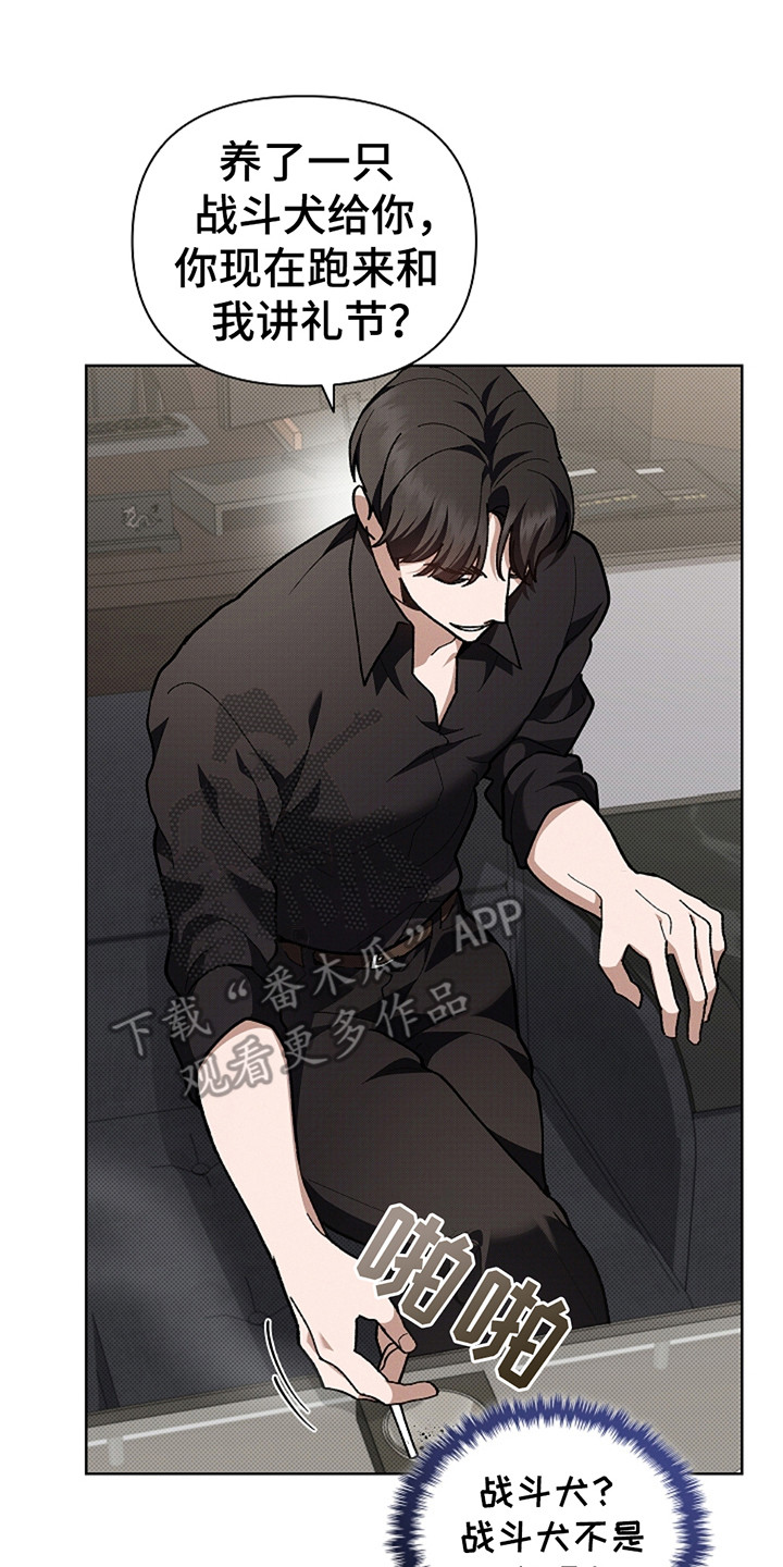 小白狗奇遇记香香叫什么漫画,第23章：姐姐4图