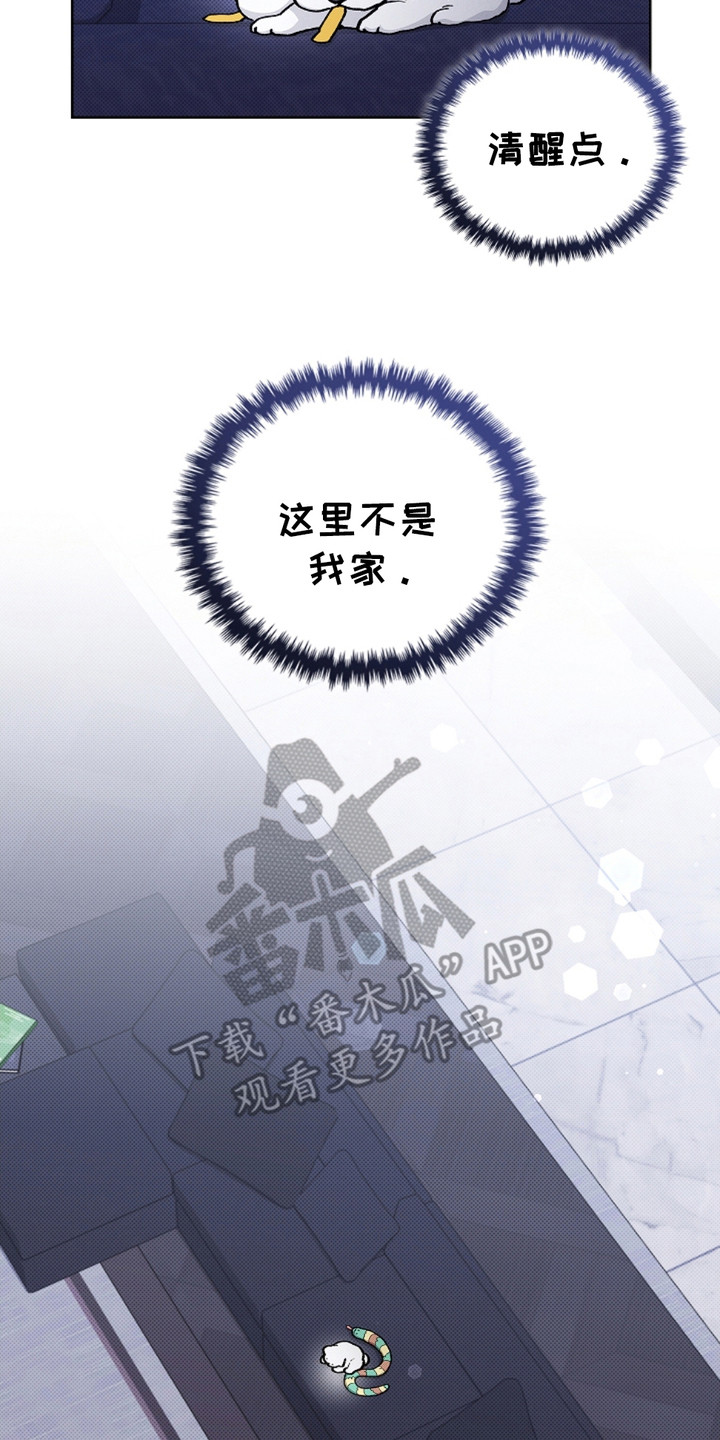 小白狗奇遇记免费漫画下拉式看漫画漫画,第19章：采耳4图