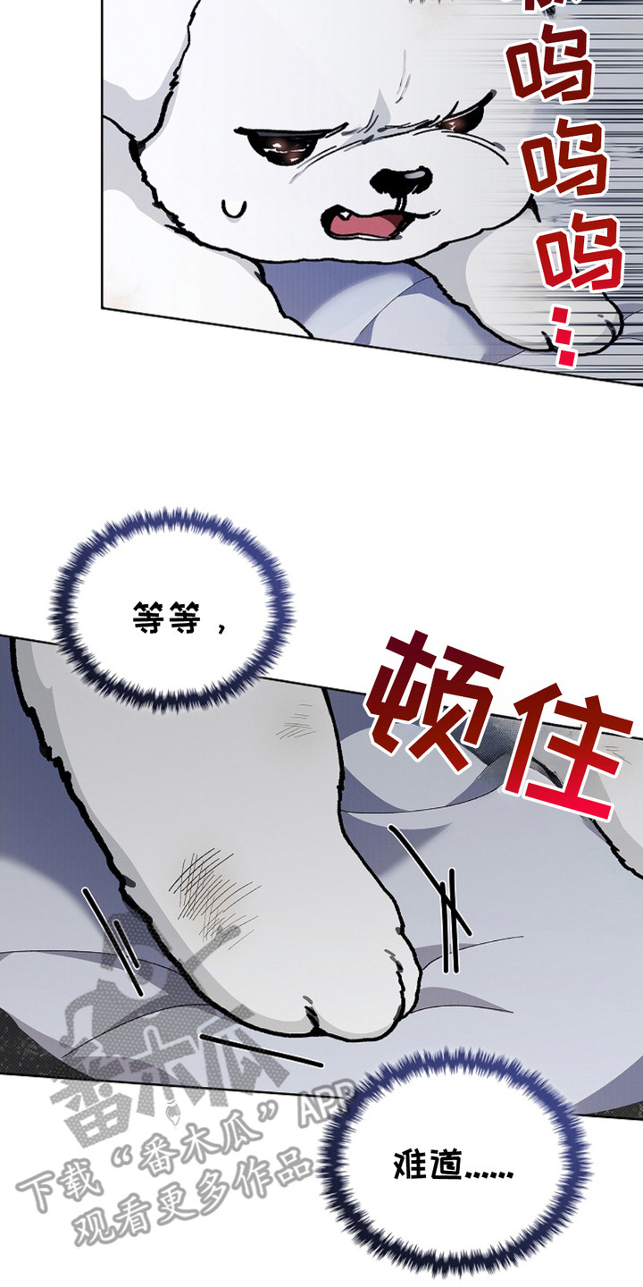 小白狗奇遇记第二季86漫画,第10章：治疗4图