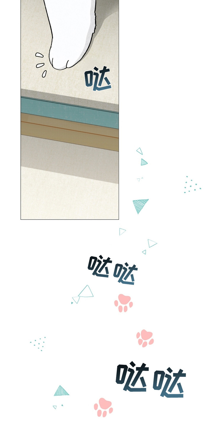 《小白狗奇遇记》剧情漫画,第1章：做噩梦3图