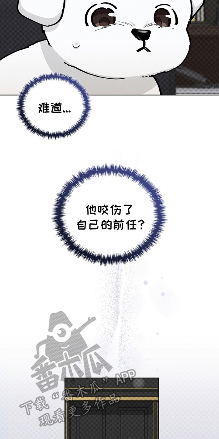 《小白狗奇遇记》剧情漫画,第23章：姐姐2图