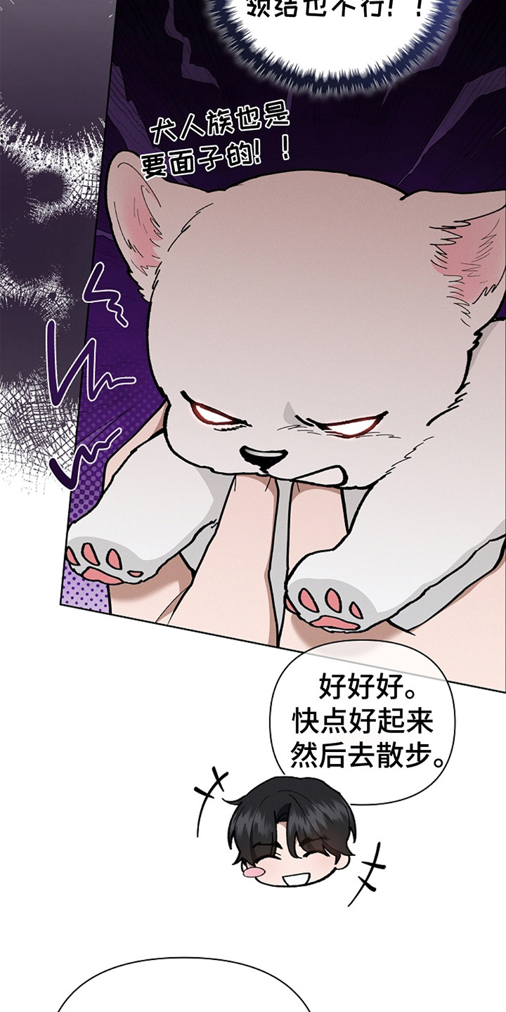 小白狗奇遇记19漫画,第20章：恢复很快4图