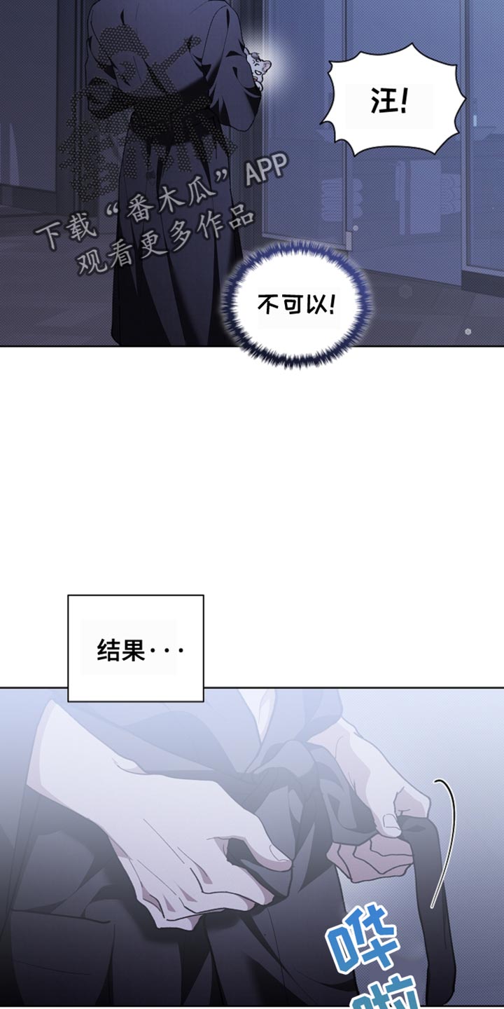 《小白狗奇遇记》剧情漫画,第25章：别回来了1图