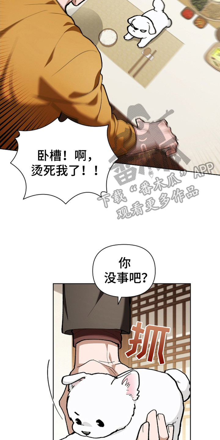 小白狗奇遇记免费观看漫画,第17章：睚眦必报4图
