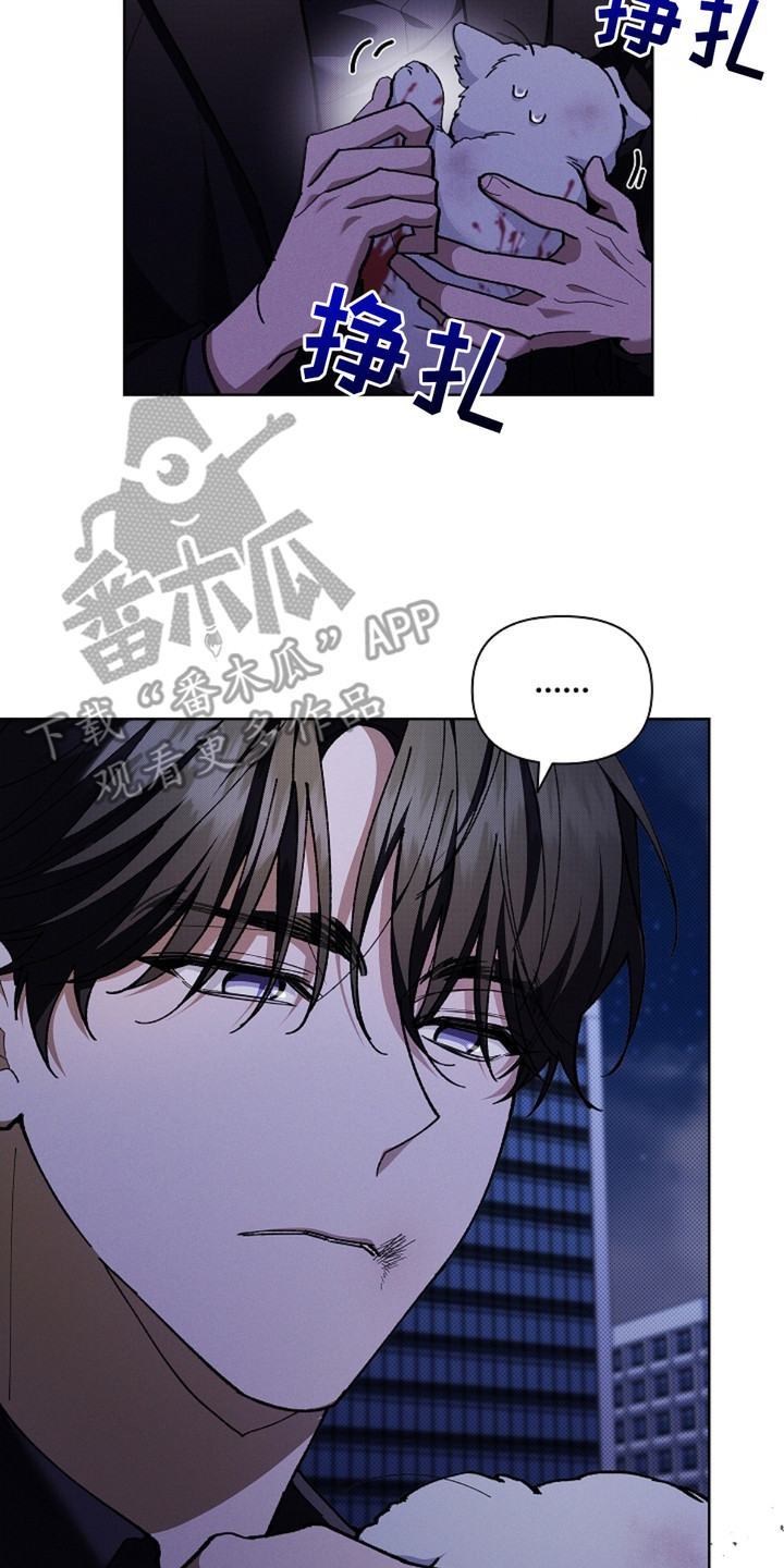 《小白狗奇遇记》剧情漫画,第9章：奄奄一息3图