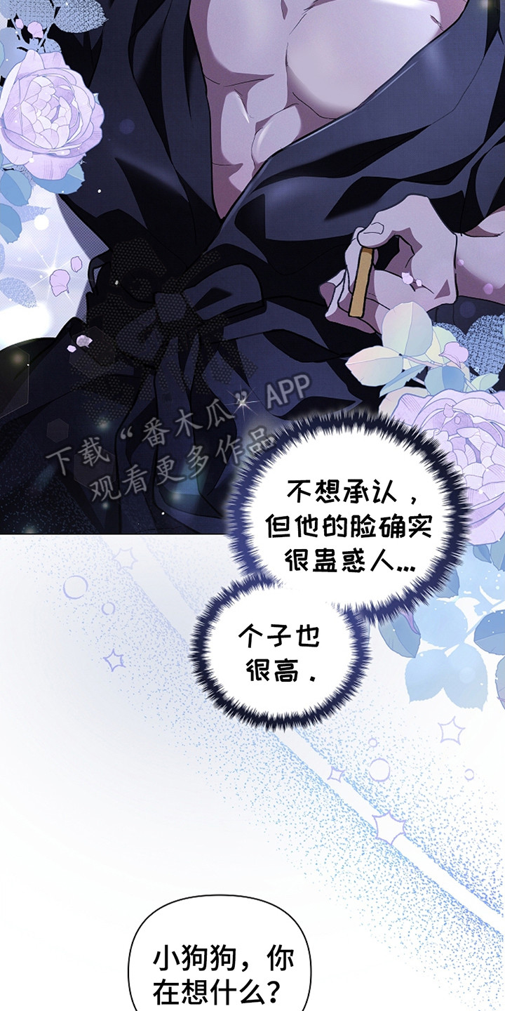 小白狗奇遇记免费漫画下拉式看漫画漫画,第24章：嫉妒1图