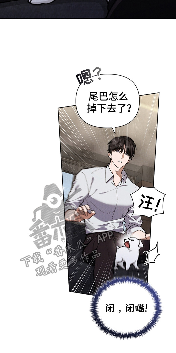 漫蛙漫画app下载官方免费漫画,第13章：记仇2图