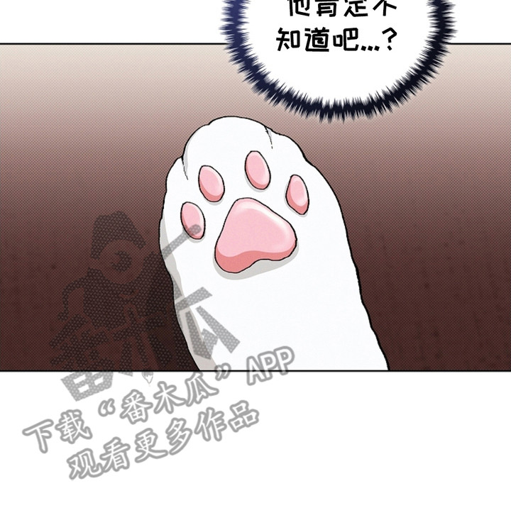 番木瓜免费版漫画怎么下载漫画,第4章：小零食3图