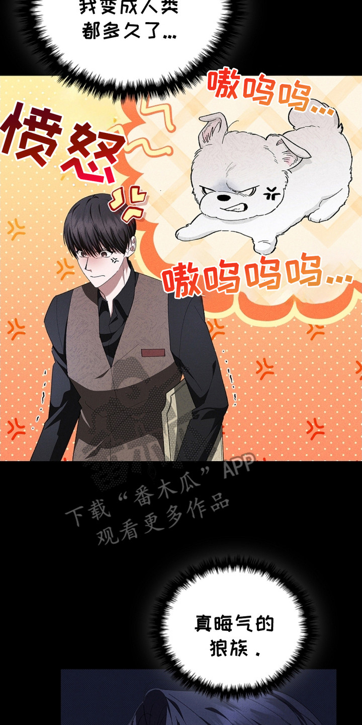 小白狗奇遇记免费漫画下拉式看漫画漫画,第2章：闯祸了4图