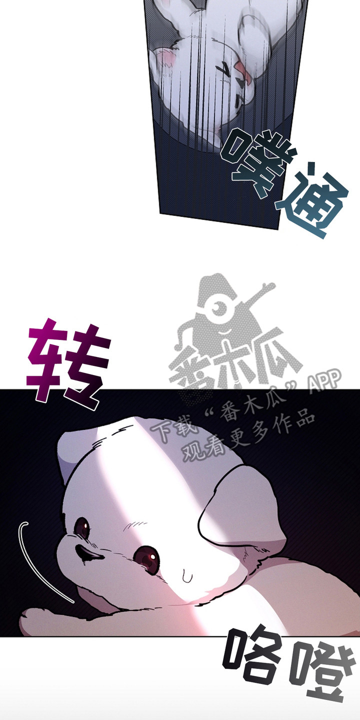 小白狗奇遇记角色介绍漫画,第17章：睚眦必报3图