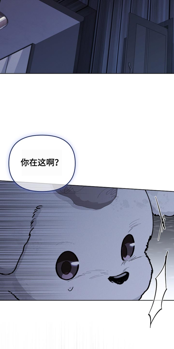 《小白狗奇遇记》剧情漫画,第25章：别回来了1图