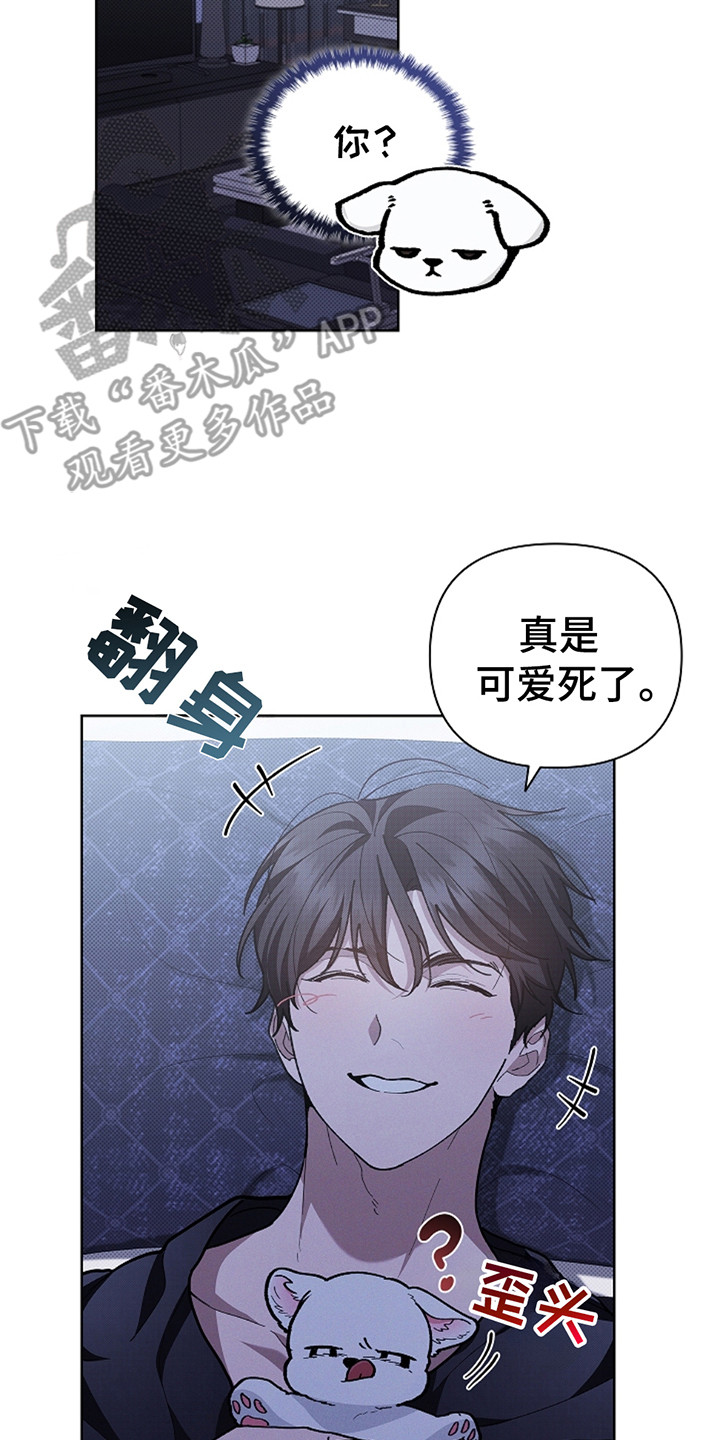 漫蛙漫画app下载官方免费漫画,第24章：嫉妒3图