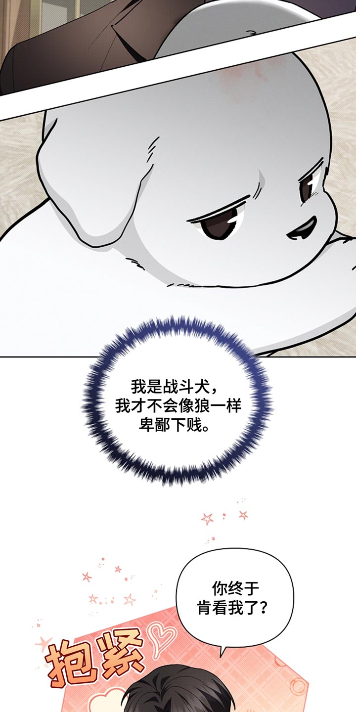 小白狗奇遇记免费漫画下拉式看漫画漫画,第33章：亲爱的4图