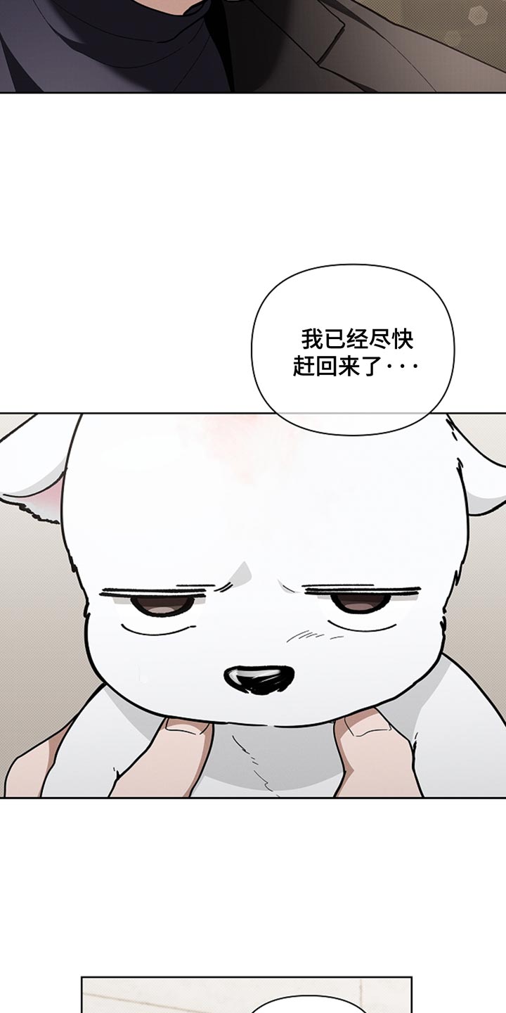 小白狗奇遇记香香叫什么漫画,第32章：陌生5图