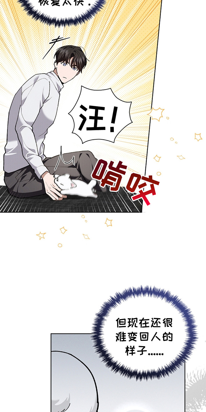 小白狗奇遇记19漫画,第20章：恢复很快1图