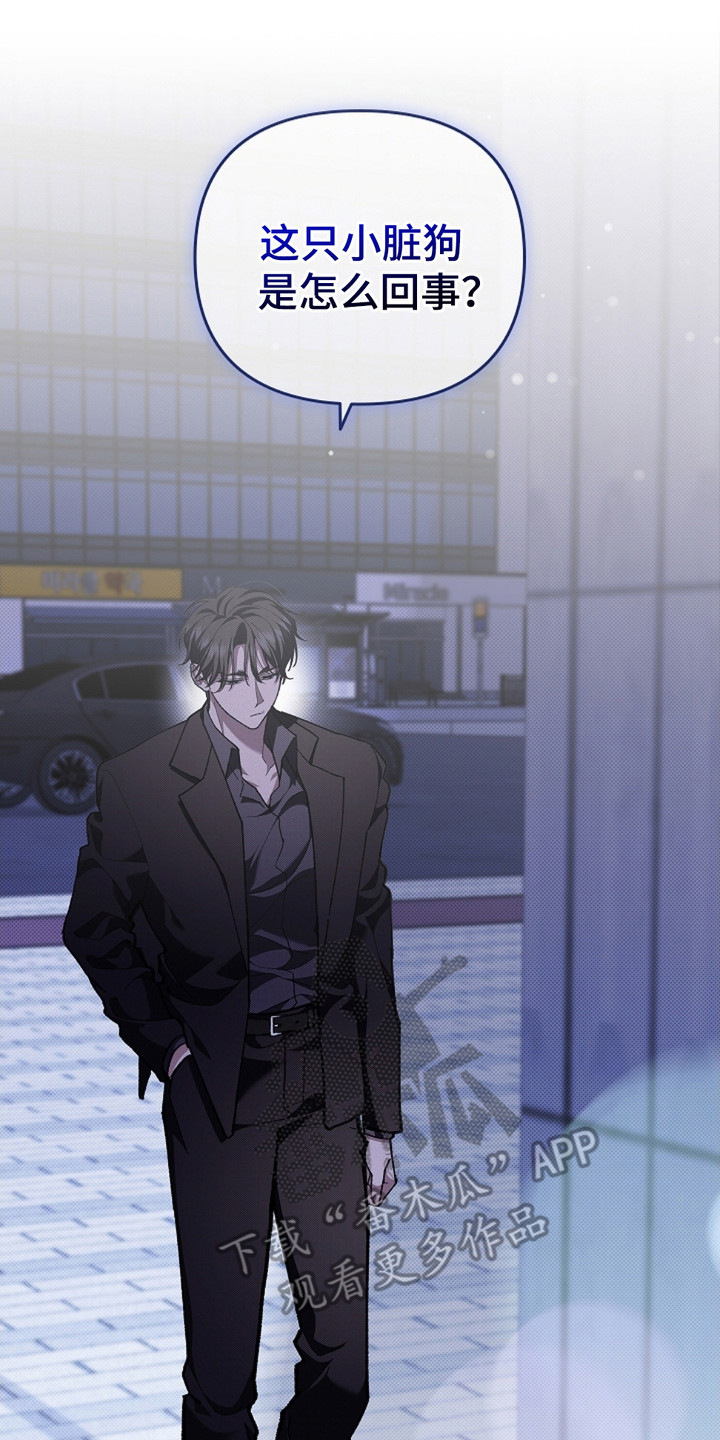 《小白狗奇遇记》剧情漫画,第9章：奄奄一息5图