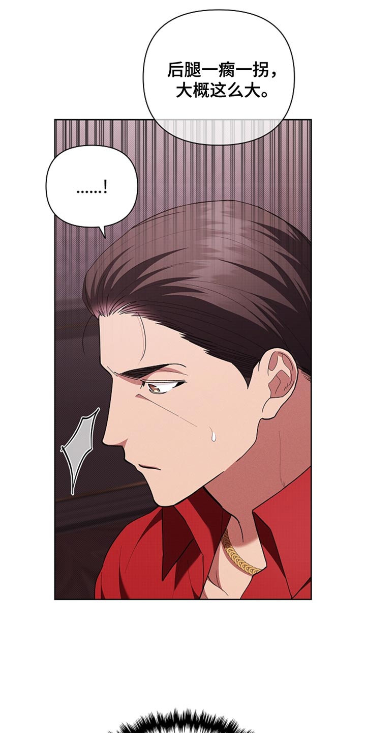 小白狗奇遇记香香叫什么漫画,第31章：我猜对了3图