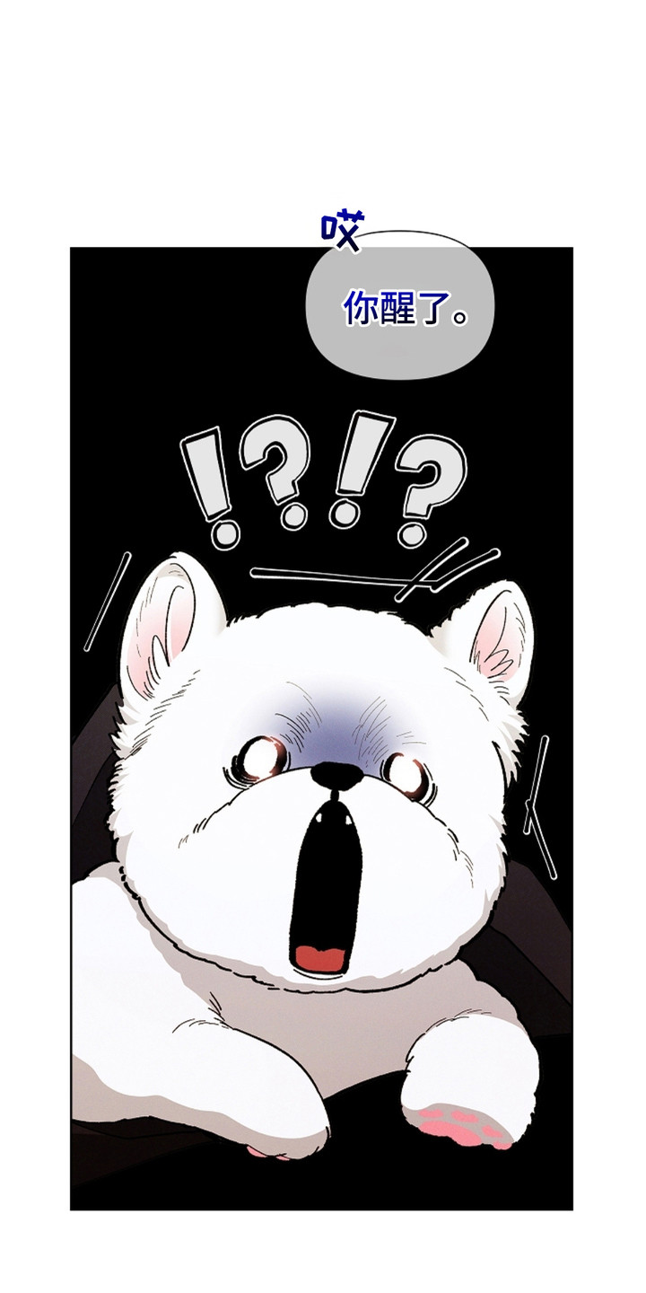 漫蛙漫画app下载官方免费漫画,第3章：传闻4图